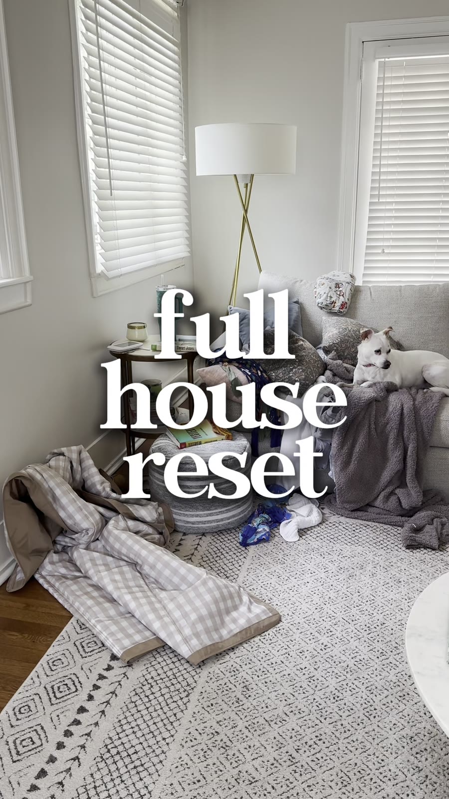 Full house reset — living room mid tidy-up with blankets and a dog on the chair